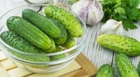 Як зберігати свіжі огірки в холодильнику і без до зими