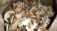 Рецепти сухих грибів