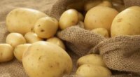 Мінеральні добрива для картоплі