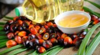 Користь і шкода пальмової олії для здоров’я людини