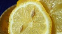 Лимон з кісточки в домашніх умовах: вирощування та догляд