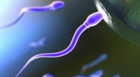 Скільки потрібно сперми, щоб завагітніти?