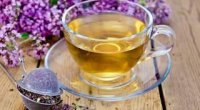 Чай з чебрецем: користь і шкода